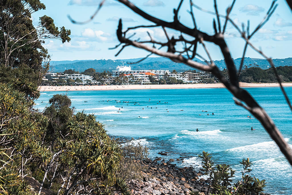 day tours in brisbane