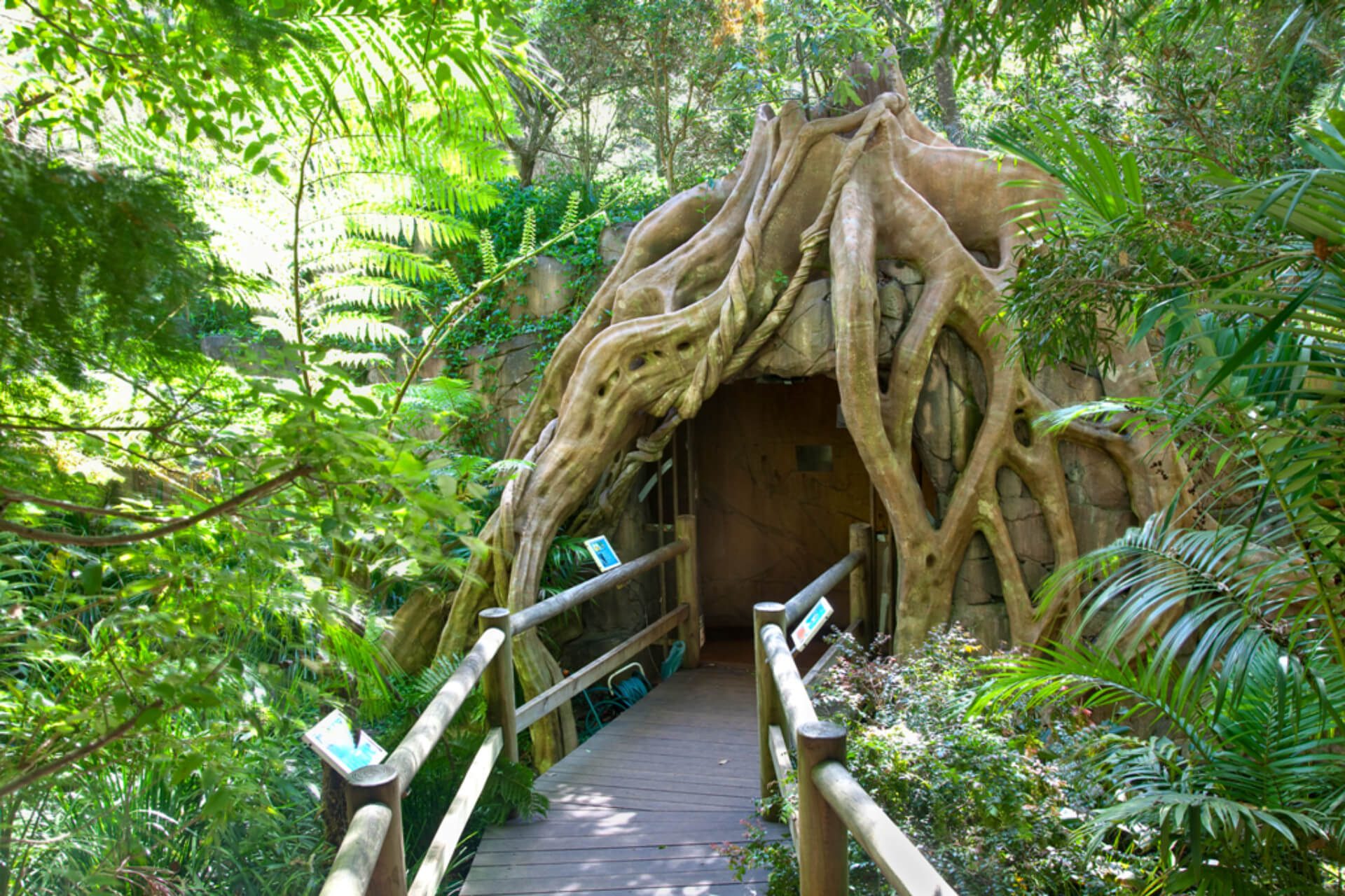 Entrance to Glow Worm Caves